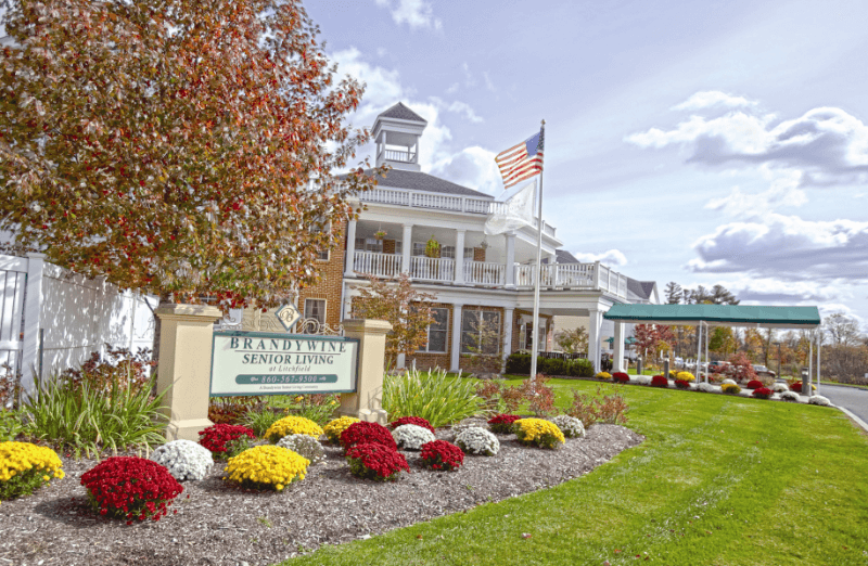 Brandywine Litchfield by Monarch