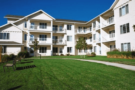Holiday Golden Oaks