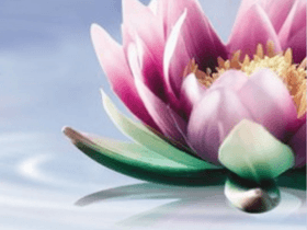 Joy In Home Care