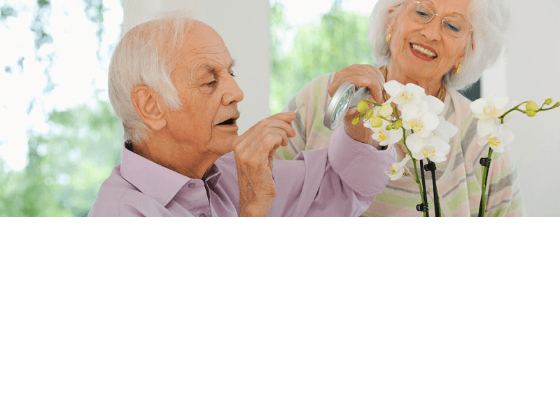 United Angels Home Care Services Kerrville, TX Senior