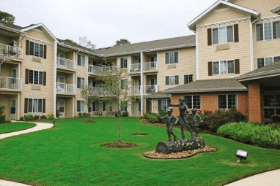Paradise Springs - Sky Active Living